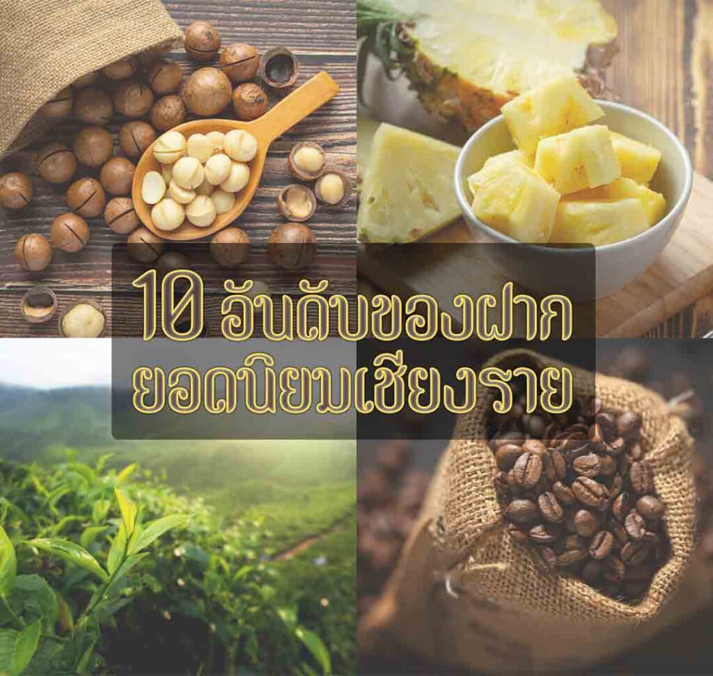 10 อันดับของฝากยอดนิยมเชียงราย