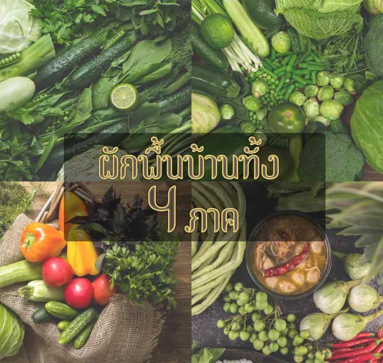 ผักพื้นบ้านทั้ง 4 ภาค